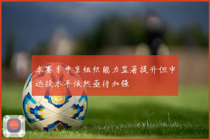 本赛季申京组织能力显著提升但中远投水平依然亟待加强