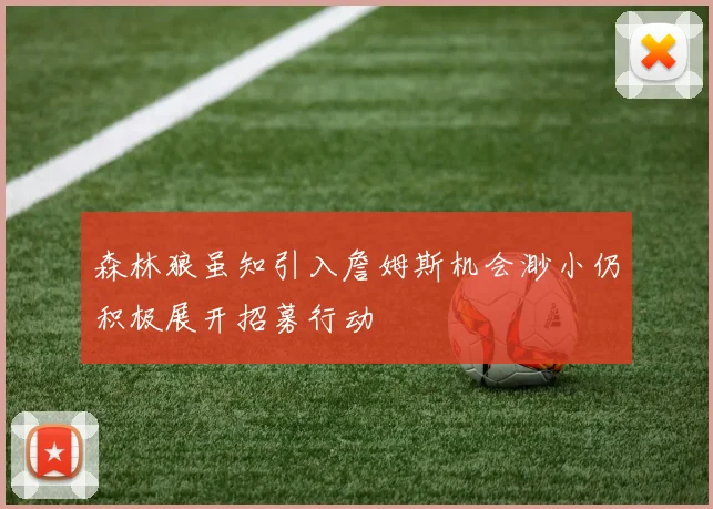 森林狼虽知引入詹姆斯机会渺小仍积极展开招募行动